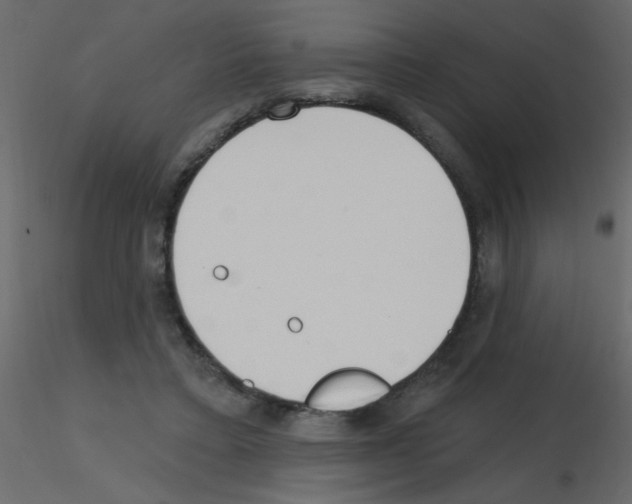 X0000115770403200912241754