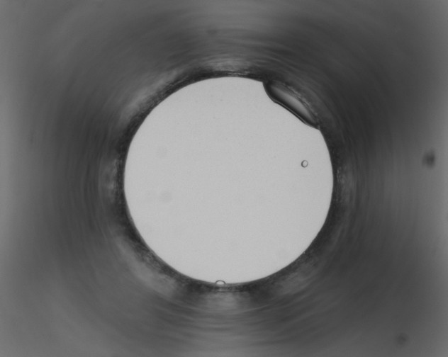 X0000115770404200912241754