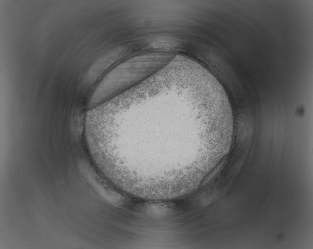 X0000115770405200912241754