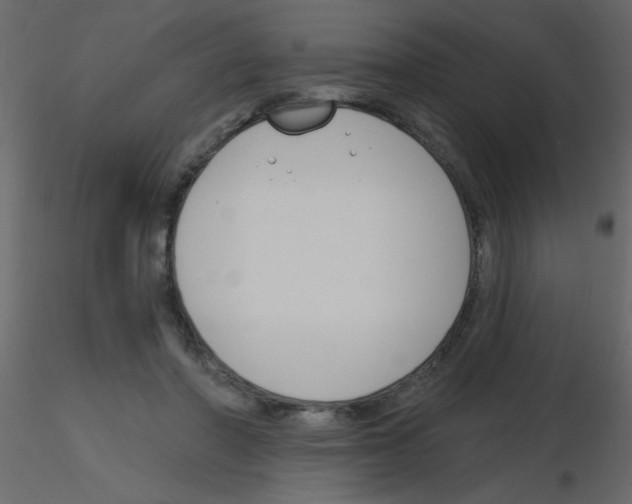 X0000115770406200912241754