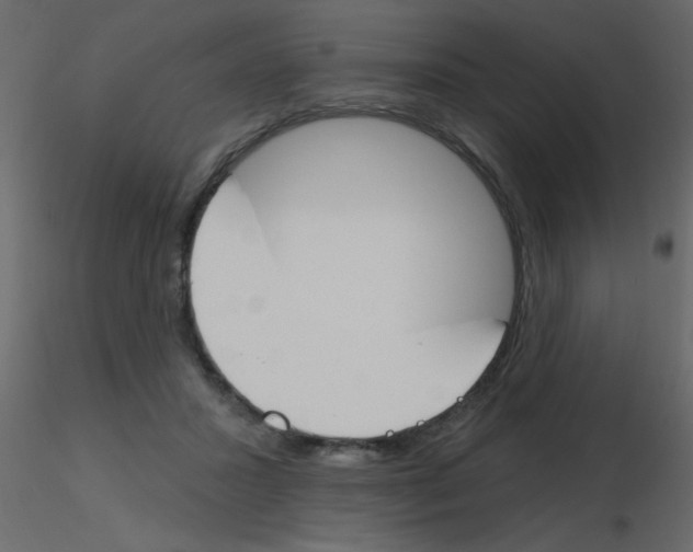 X0000115770407200912241754