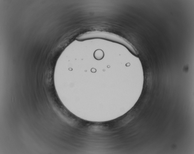 X0000115770408200912241754