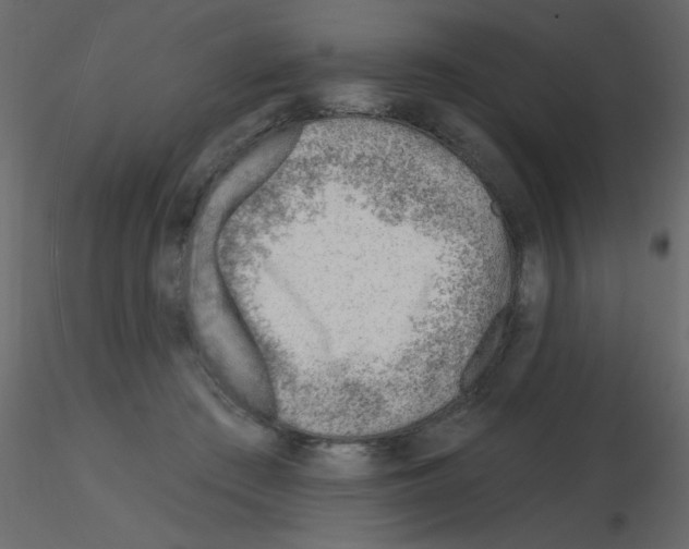 X0000115770409200912241754