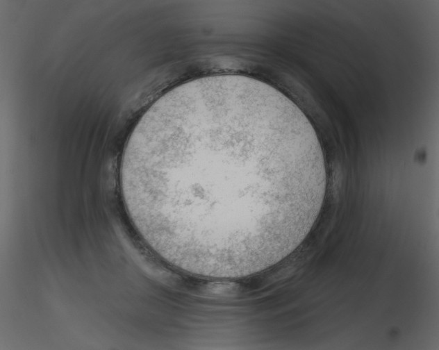X0000115770410200912241754