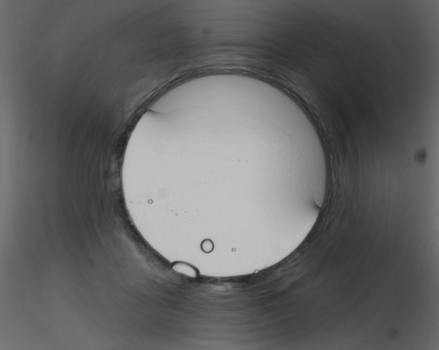 X0000115770411200912241754