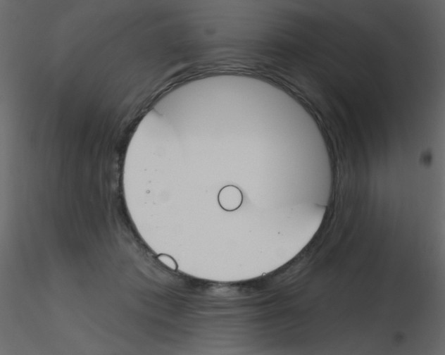 X0000115770413200912241754