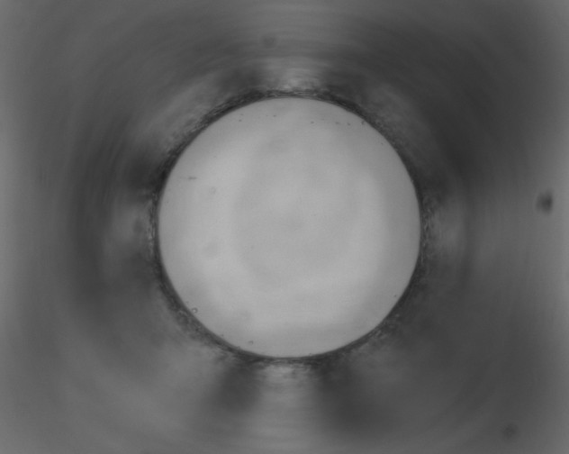 X0000115770415200912241754