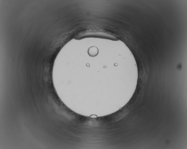 X0000115770416200912241754