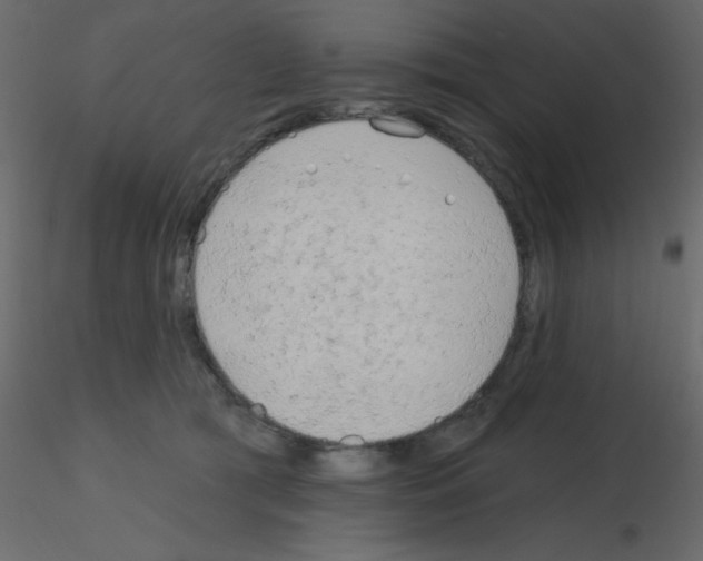 X0000115770417200912241754