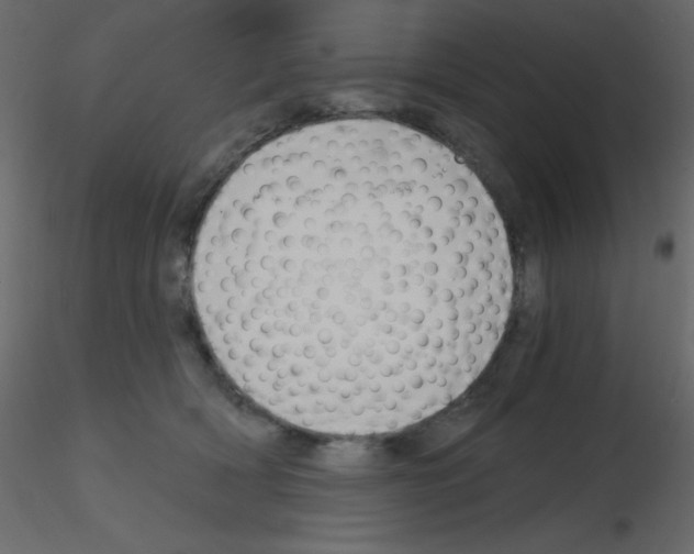 X0000115770418200912241754