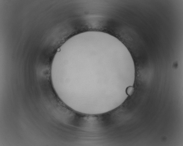 X0000115770419200912241754
