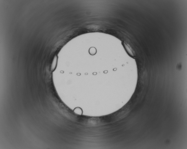 X0000115770420200912241754