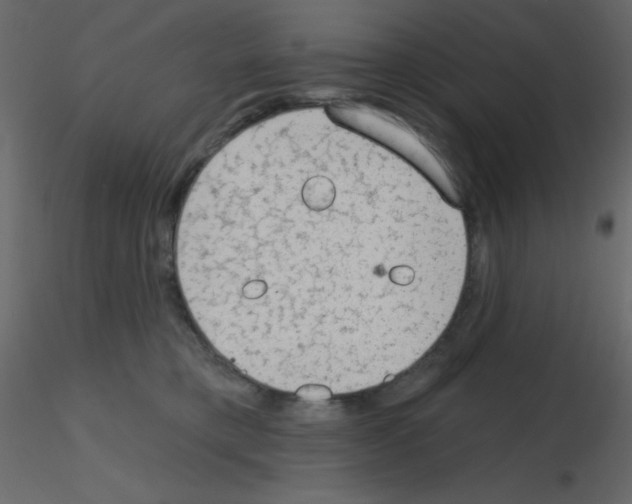 X0000115770421200912241754
