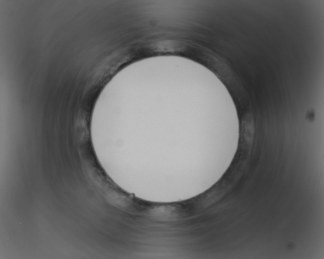 X0000115770422200912241754