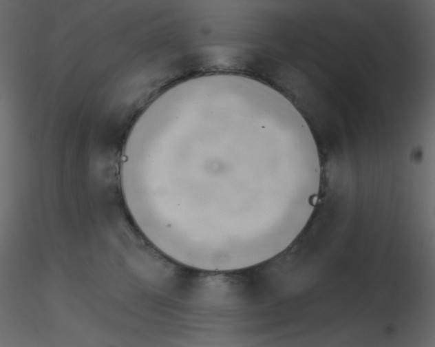 X0000115770423200912241754