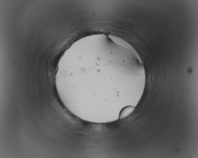 X0000115770424200912241754