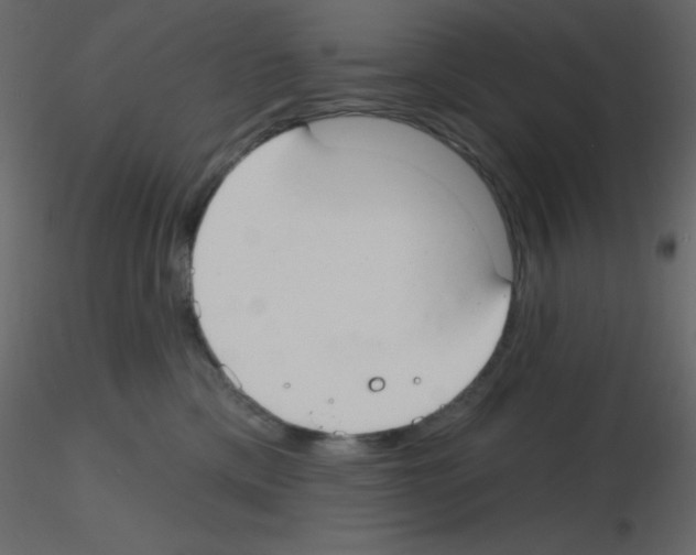 X0000115770425200912241754
