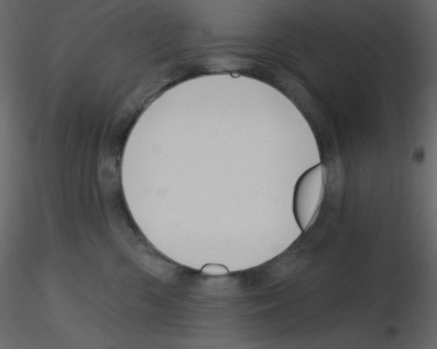 X0000115770426200912241754