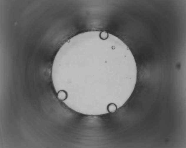 X0000115770427200912241754