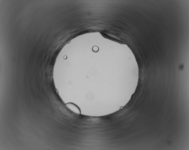 X0000115770428200912241754