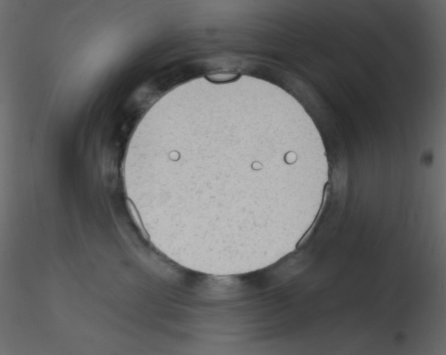 X0000115770429200912241754