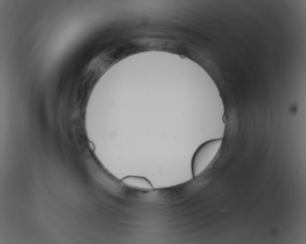 X0000115770430200912241754