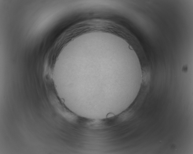 X0000115770431200912241754