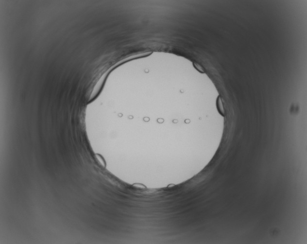X0000115770432200912241754