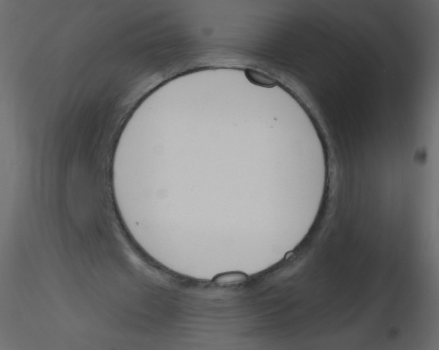 X0000115770433200912241753