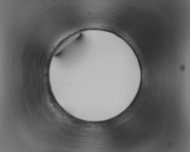 X0000115770434200912241753