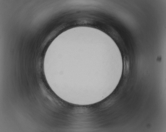 X0000115770435200912241753