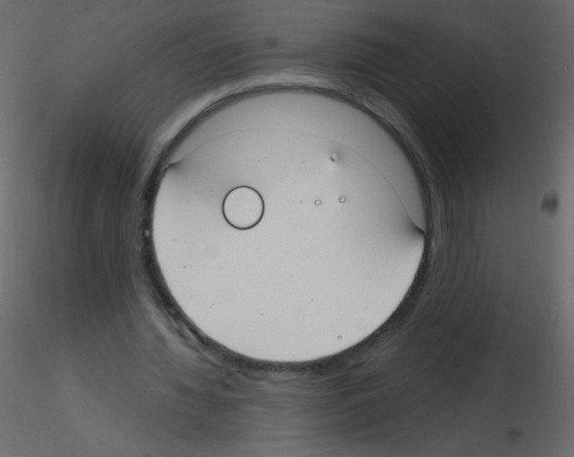X0000115770436200912241753