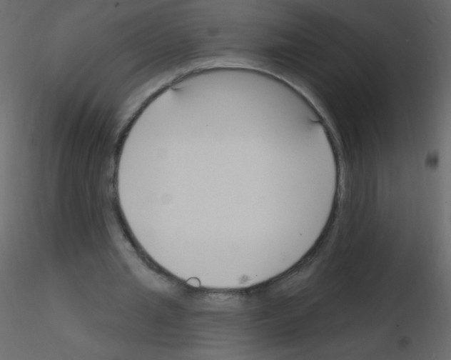 X0000115770437200912241753