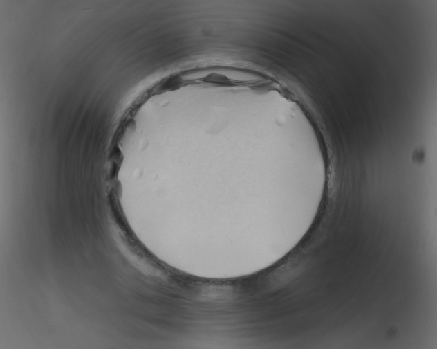 X0000115770438200912241753