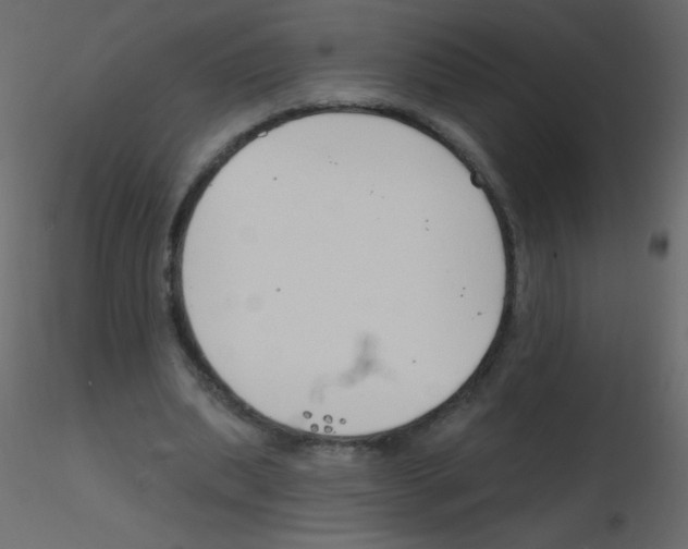 X0000115770439200912241753