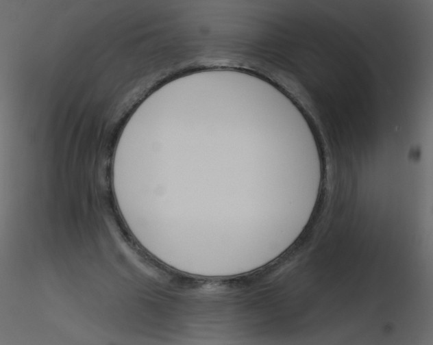 X0000115770441200912241753