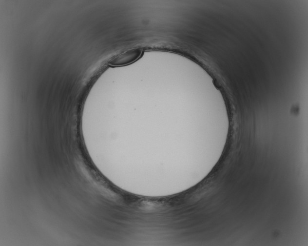 X0000115770442200912241753