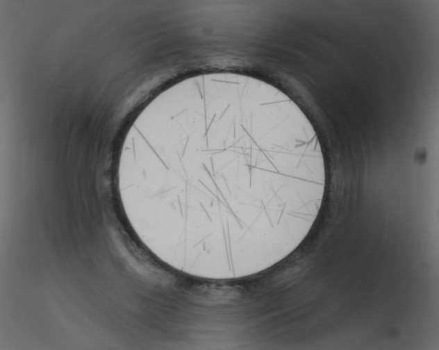 X0000115770443200912241753