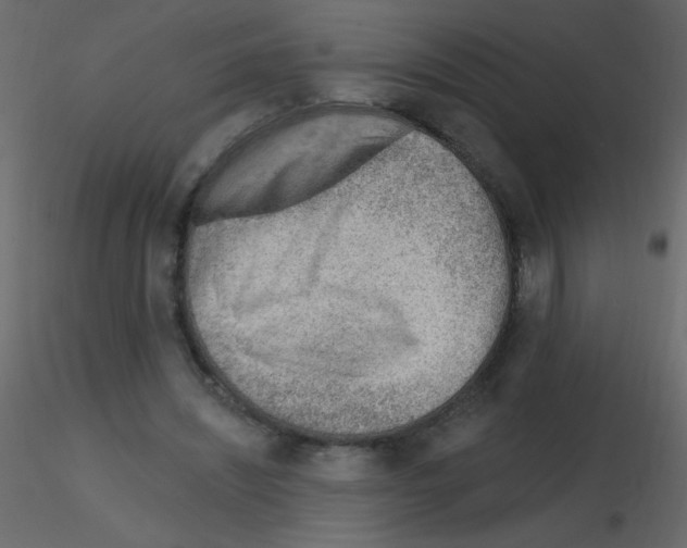X0000115770444200912241753