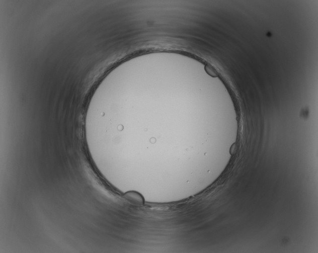 X0000115770445200912241753