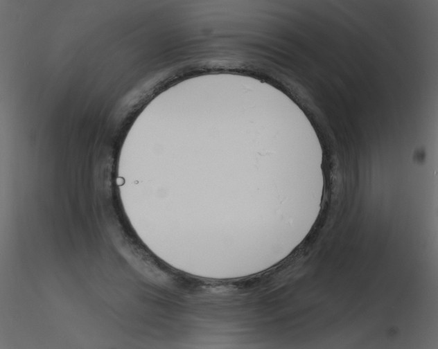 X0000115770446200912241753