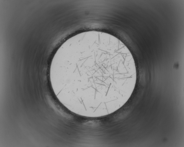 X0000115770447200912241753