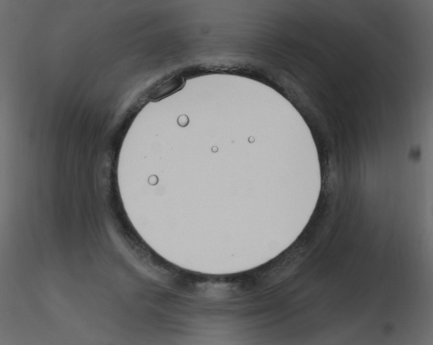 X0000115770448200912241753