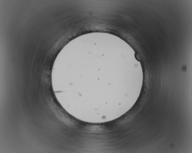 X0000115770449200912241753