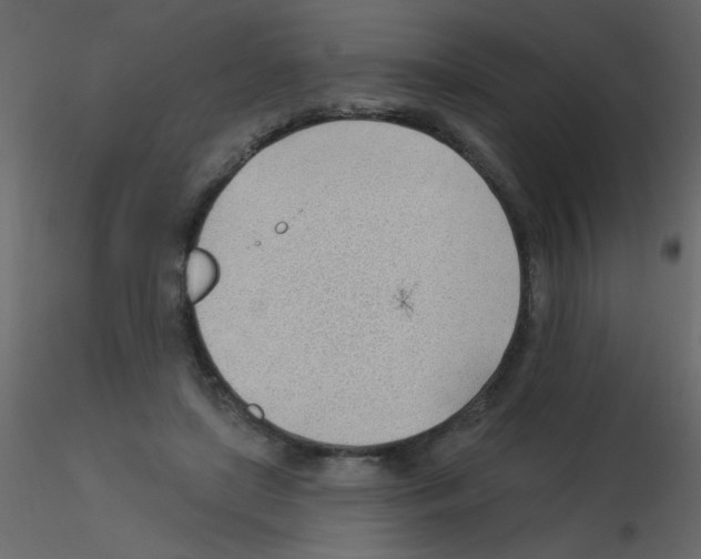 X0000115770451200912241753