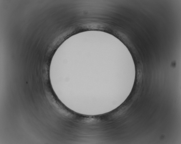 X0000115770453200912241753