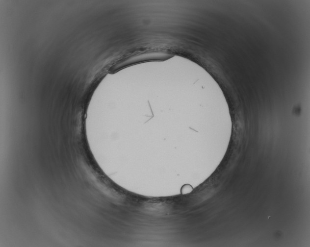 X0000115770454200912241753