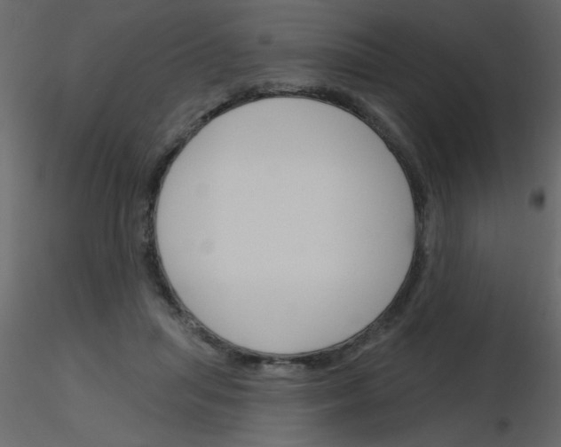 X0000115770455200912241753