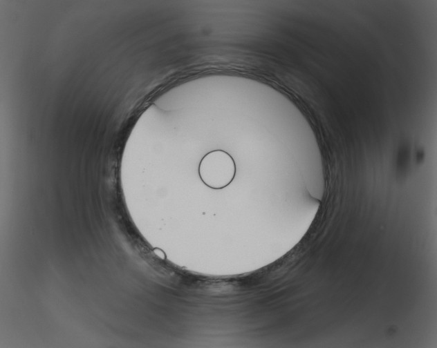 X0000115770456200912241753