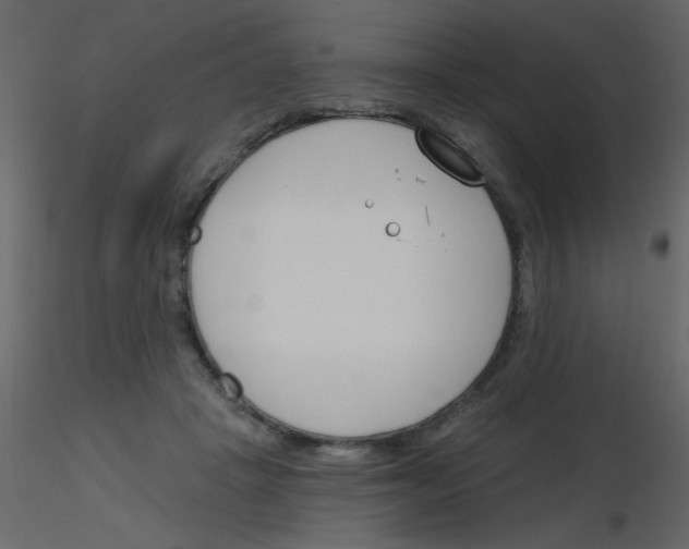 X0000115770457200912241753